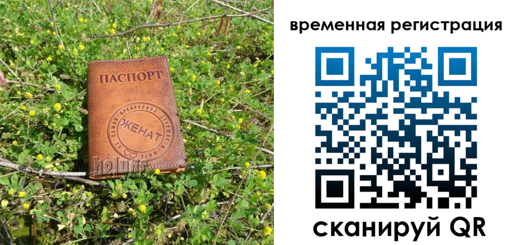 прописка регистрация в Каменск-Шахтинском